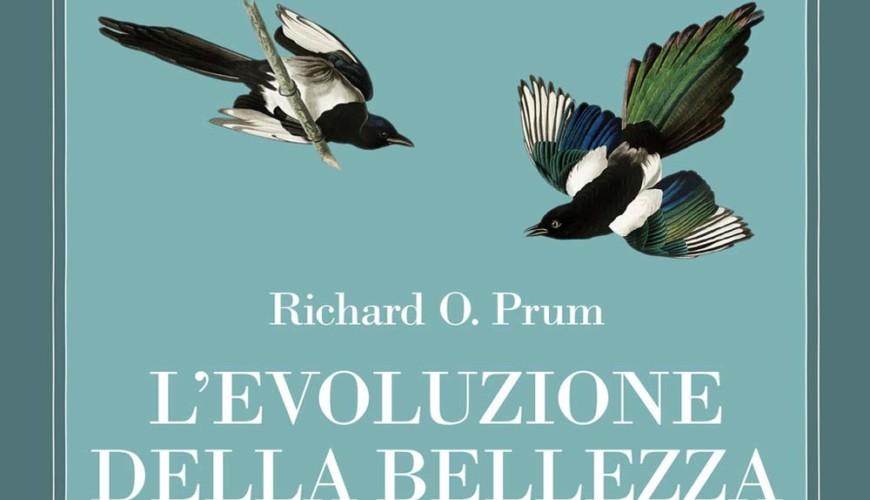 L'evoluzione della bellezza