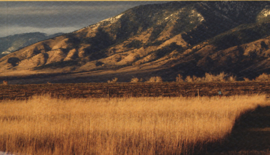 Montana 1948
