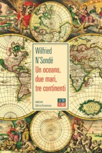 Wilfried N’Sondé