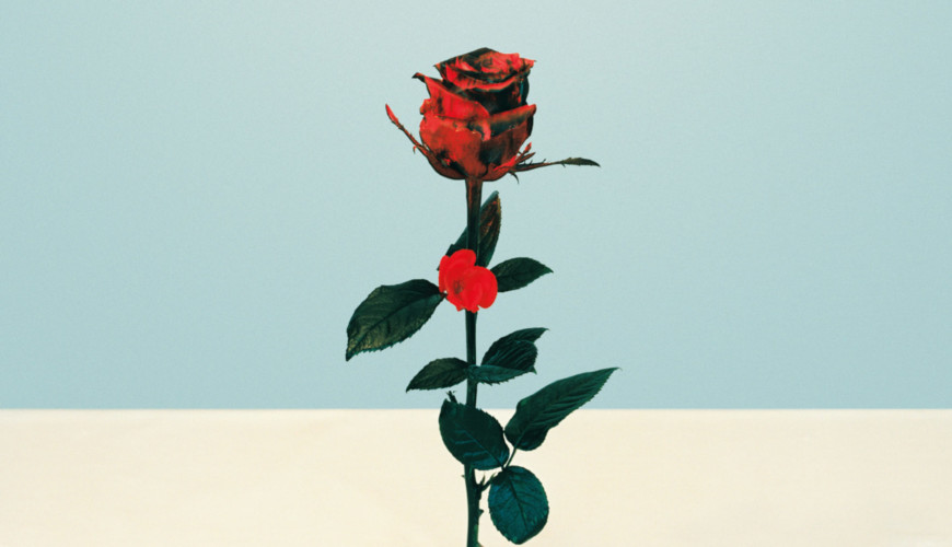 Quello che chiamiamo amore